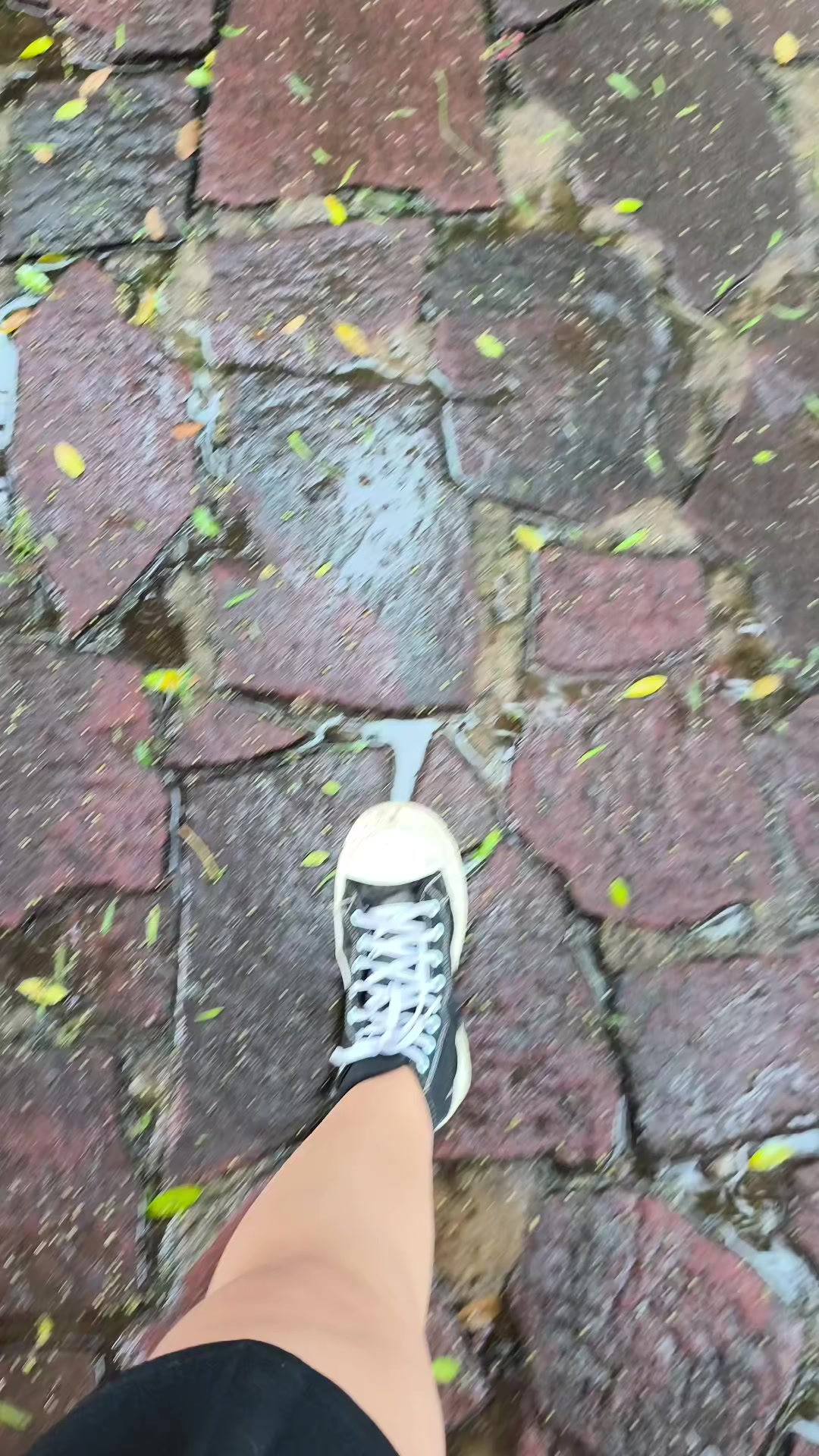 @samh.11
