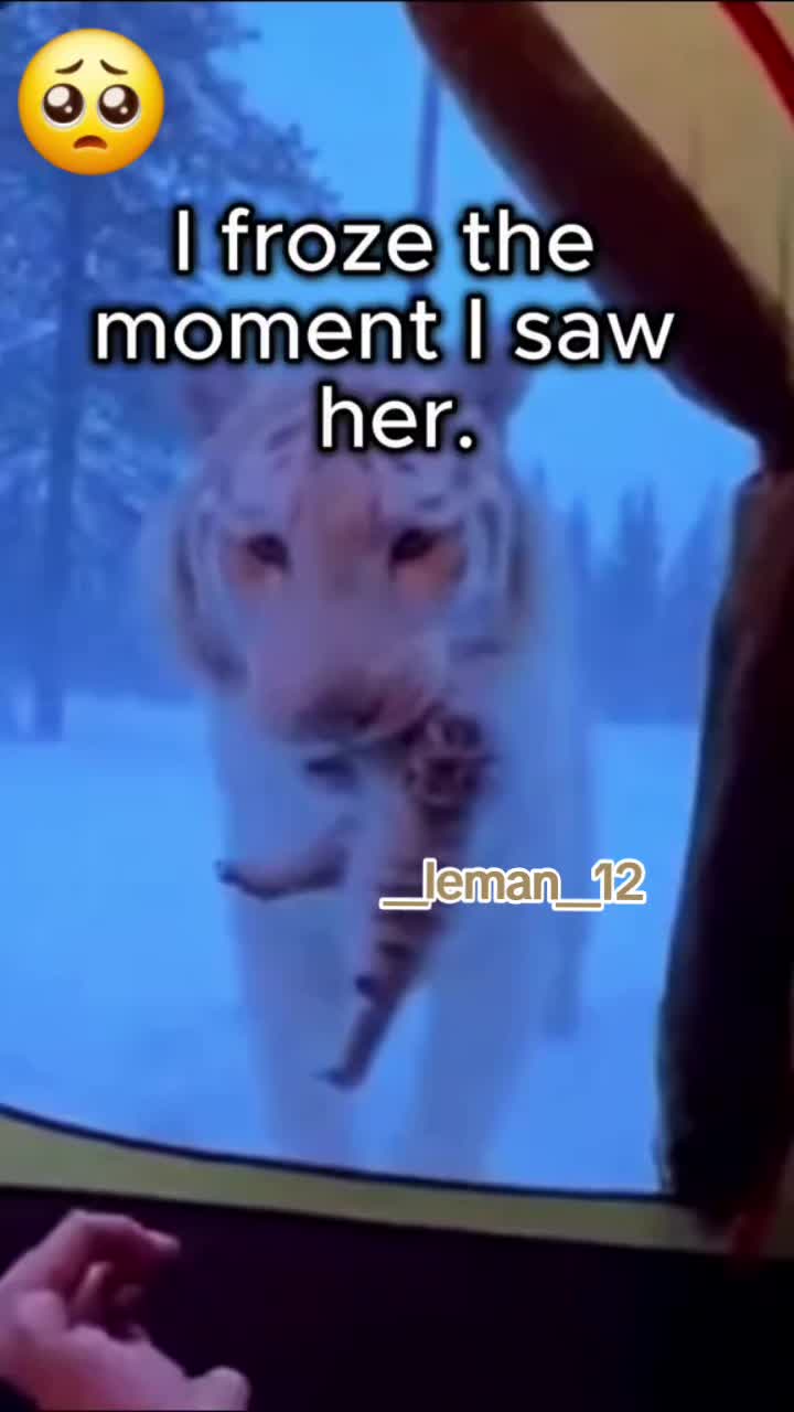 @__Leman__12