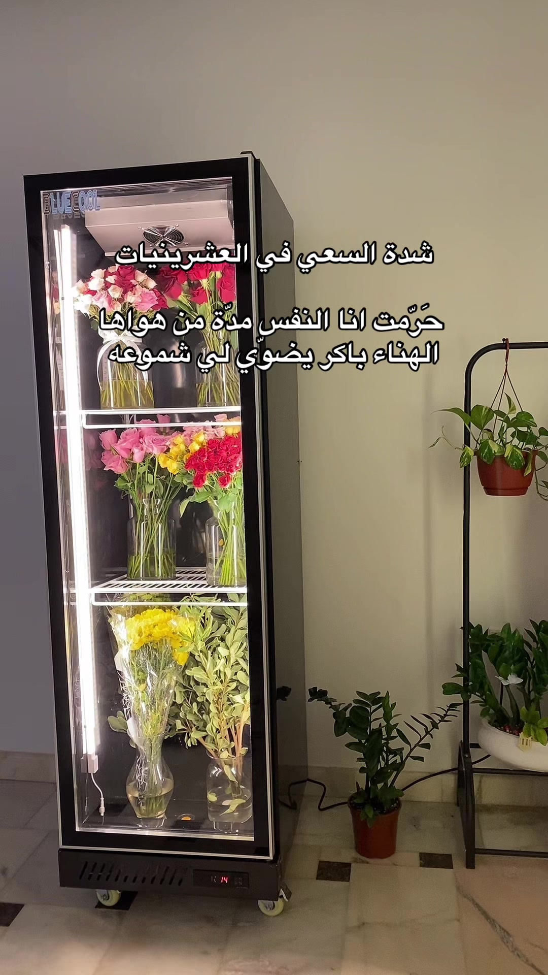 @CAMELLiA | أزهار كاميليا▫️🩷