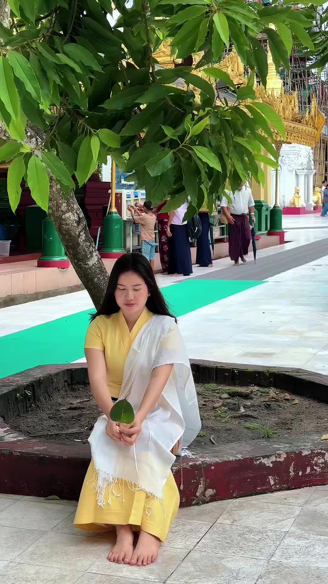 @Daffodil ✨