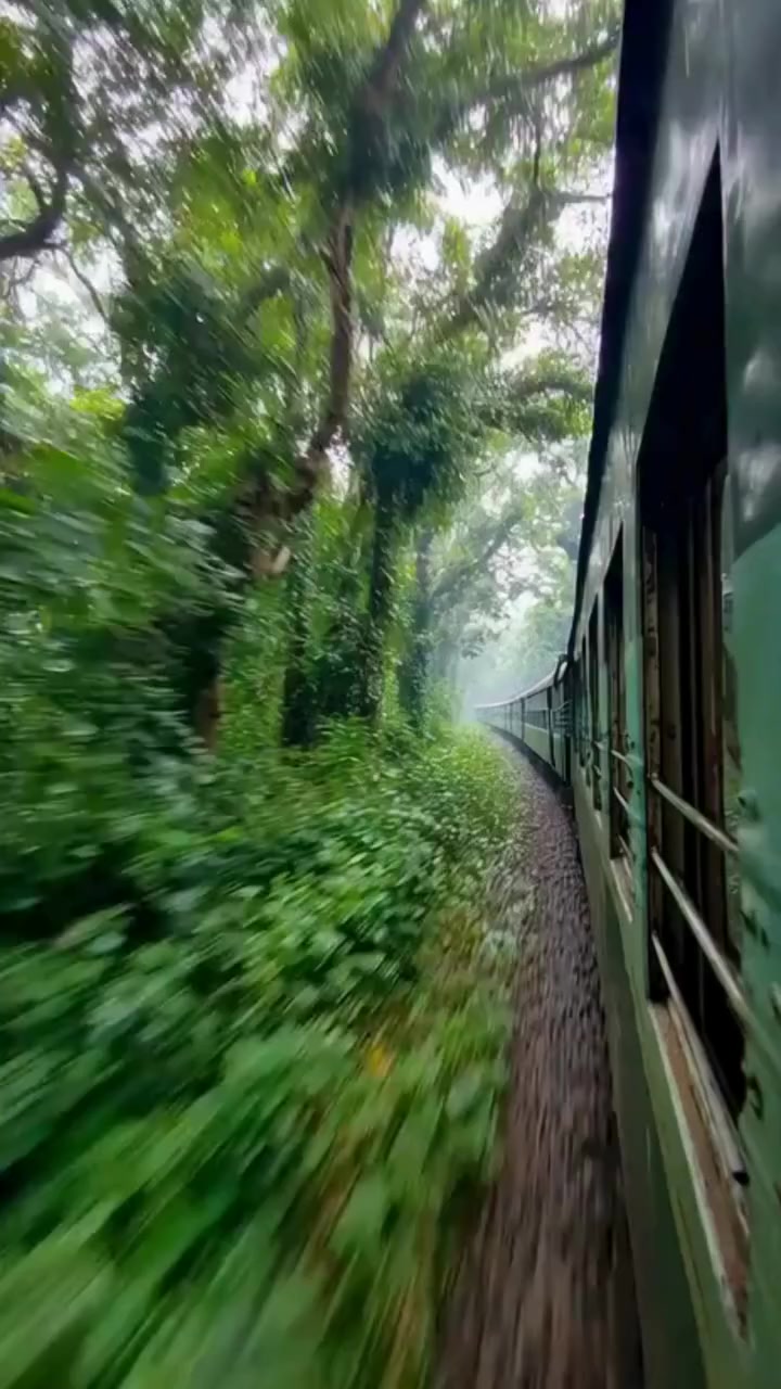 @Incredible India