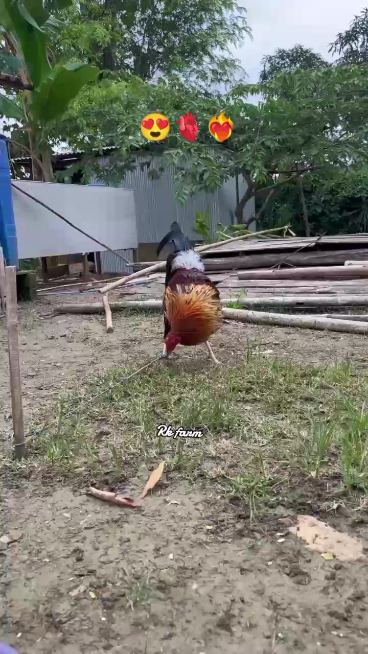 @R-K. FARM (MDR)
