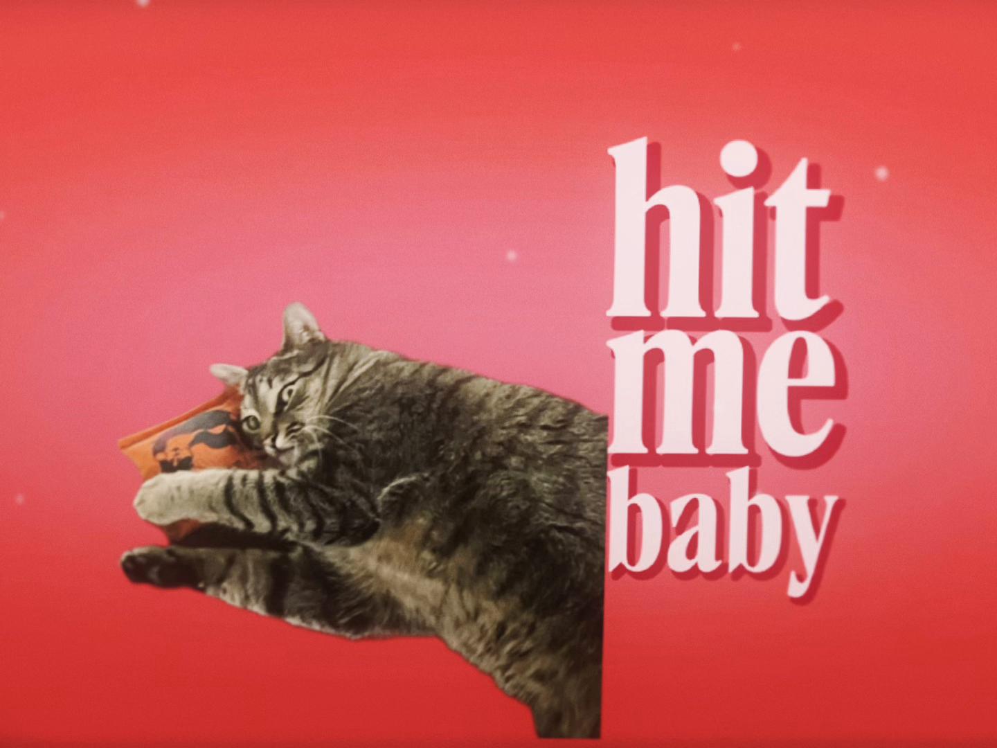 @🐈☦️✝️Cam✝️☦️😻