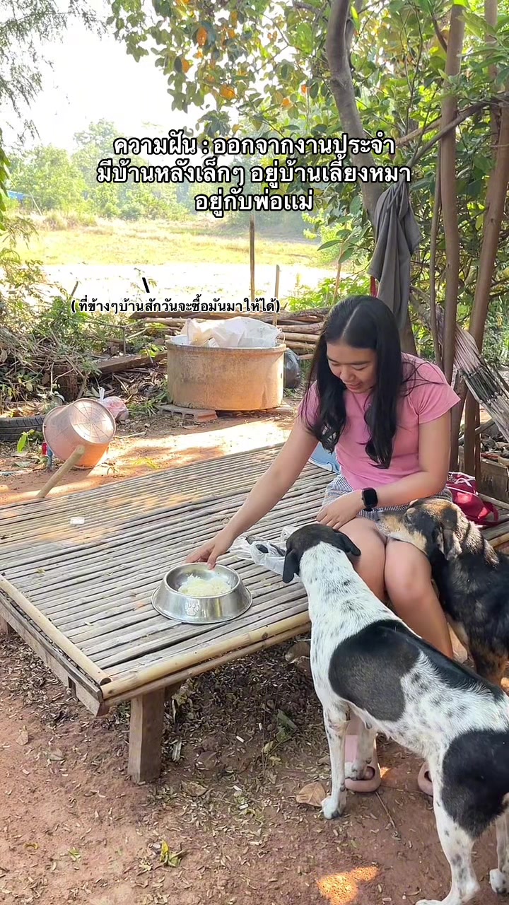 @เเตงไท ชื่อหมา.