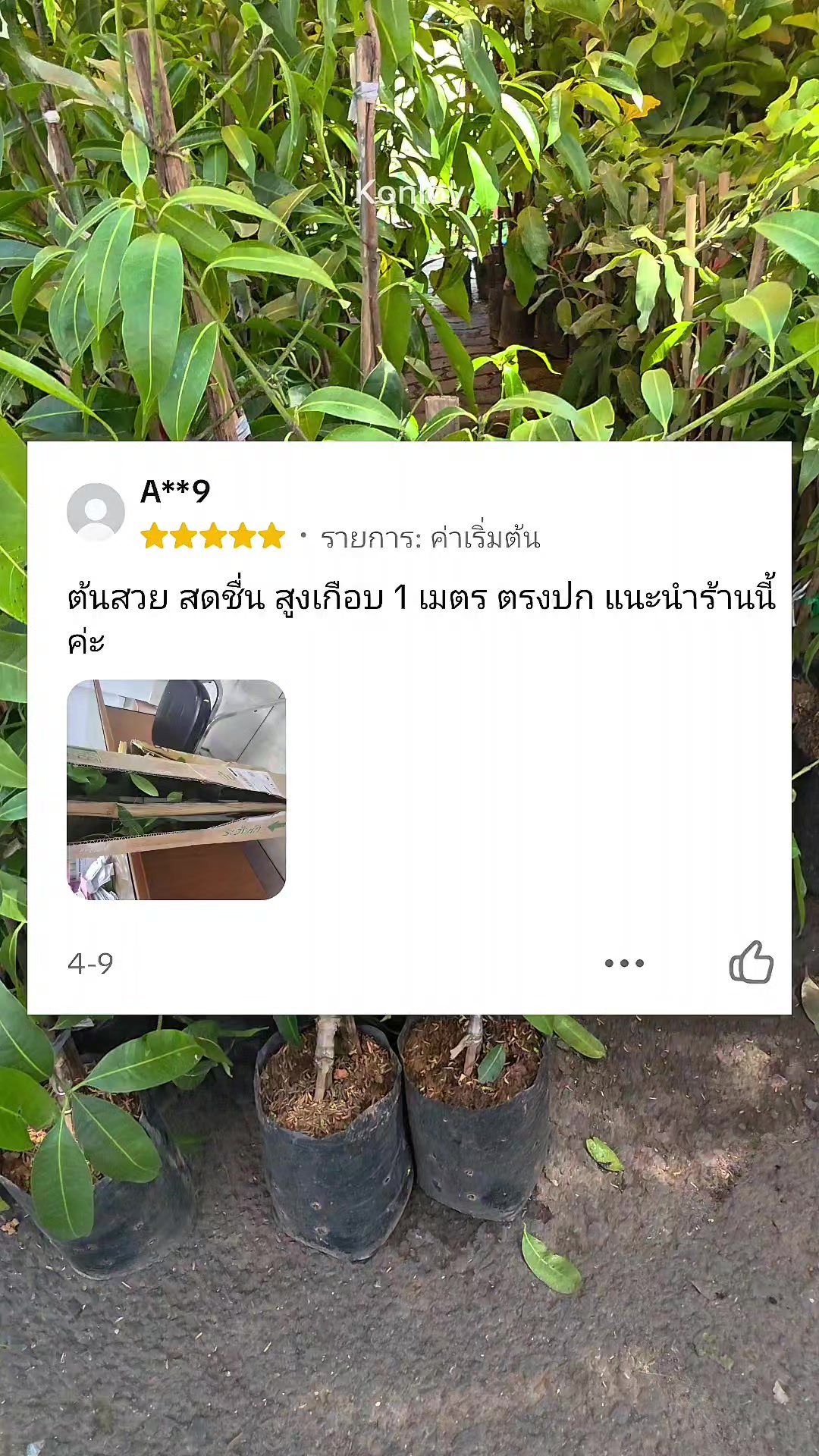 @Konloy