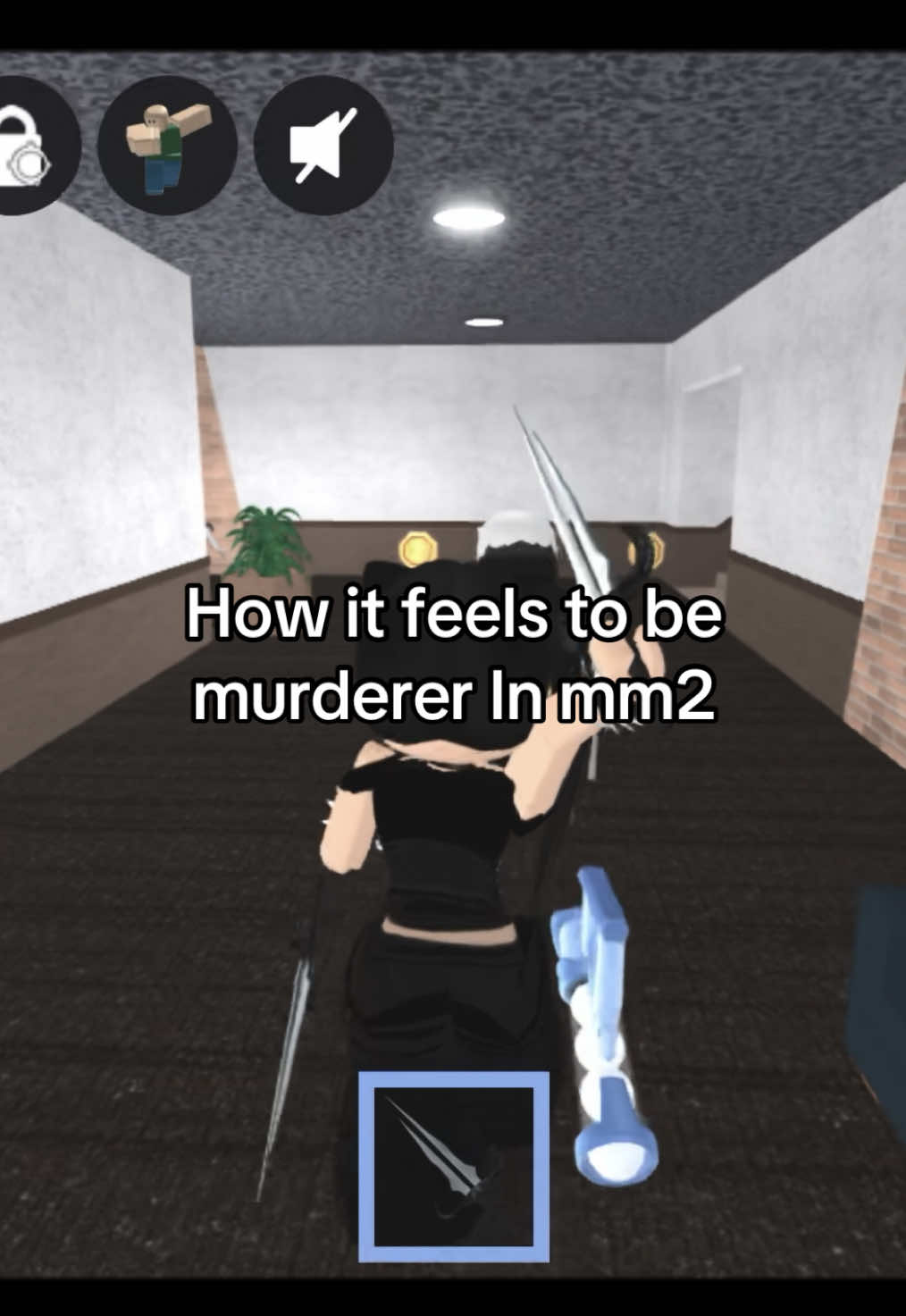 @novenhopz