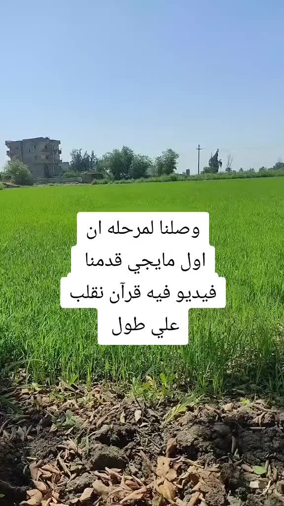 @شاكر محظور دلوقتي