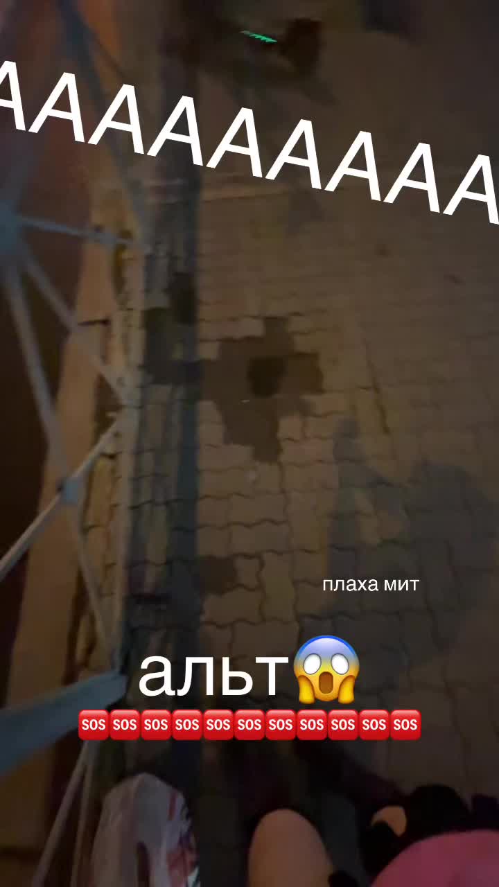 @lollikily