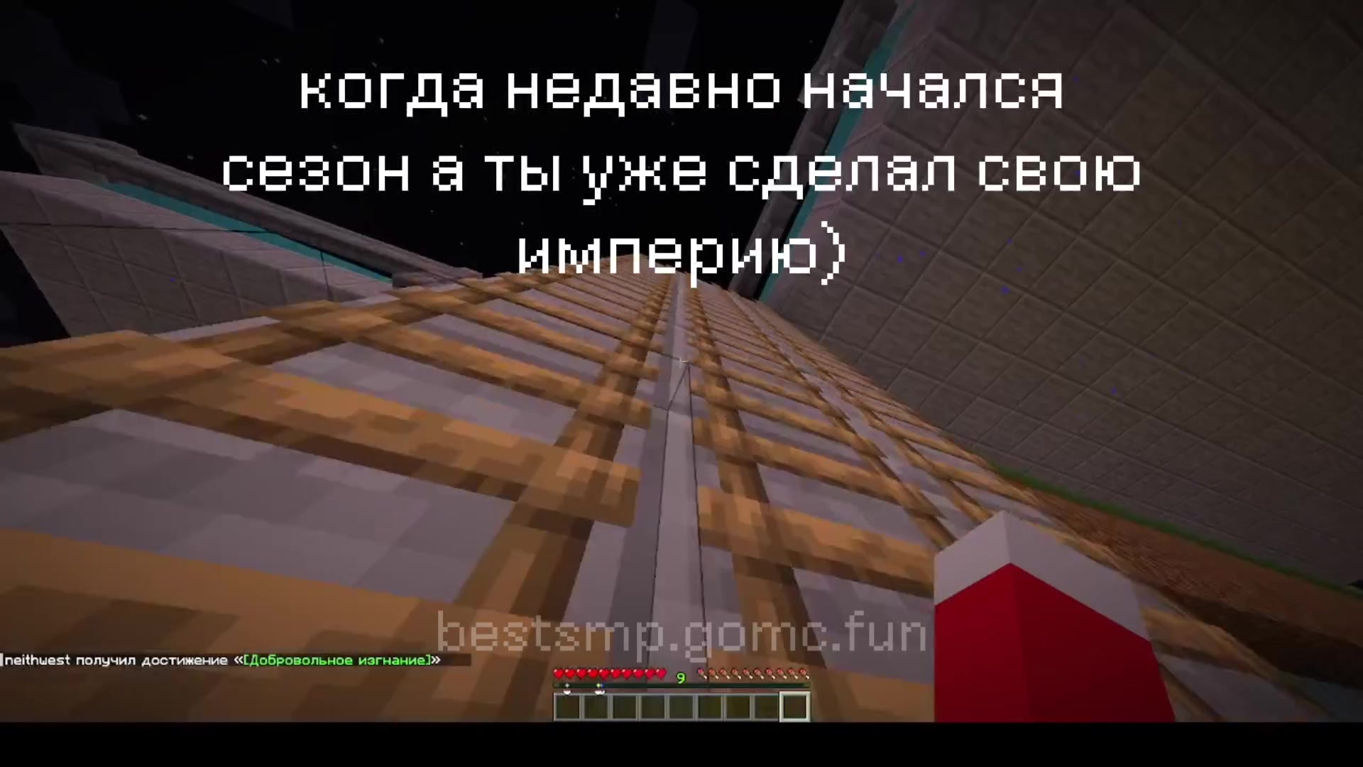 @zxccat_rw