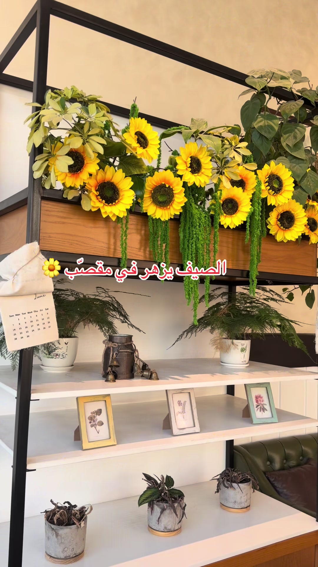 @Bayan ๐ ๐
