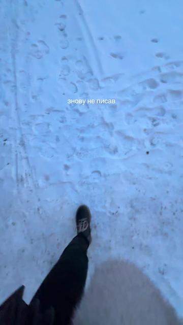 @t.f.s.96