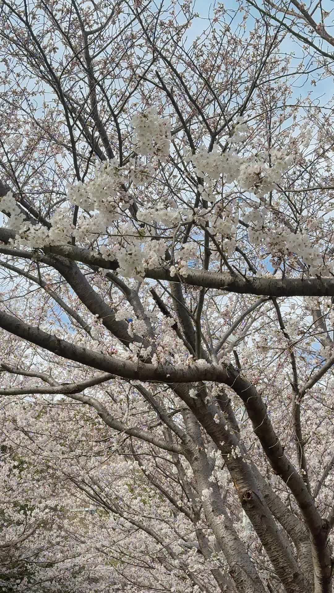 @naveeen08