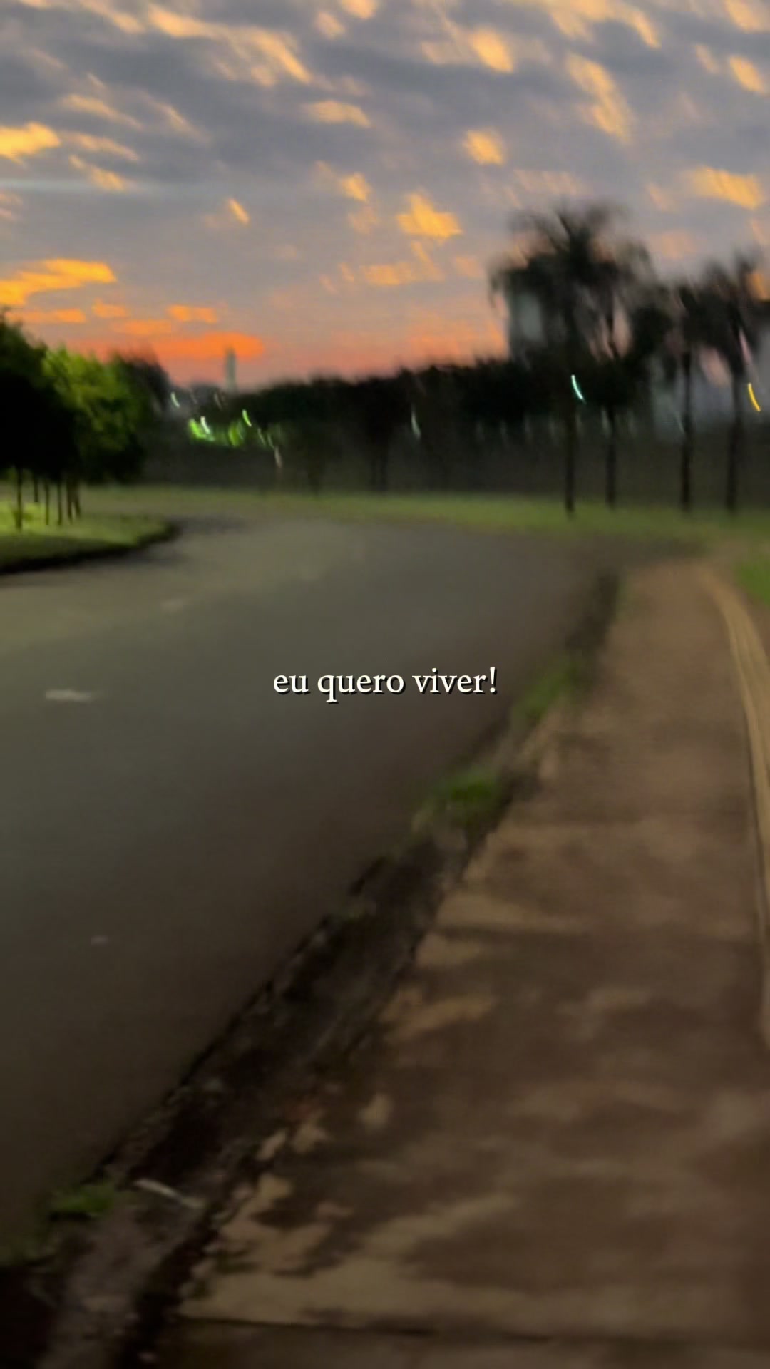 @Paloma Freitas