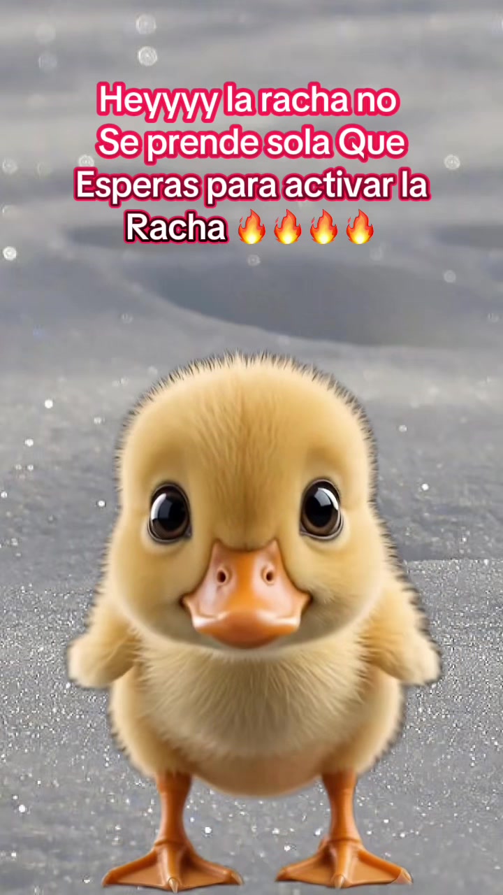 @🕷️Yaneth-13💵🐯🤠