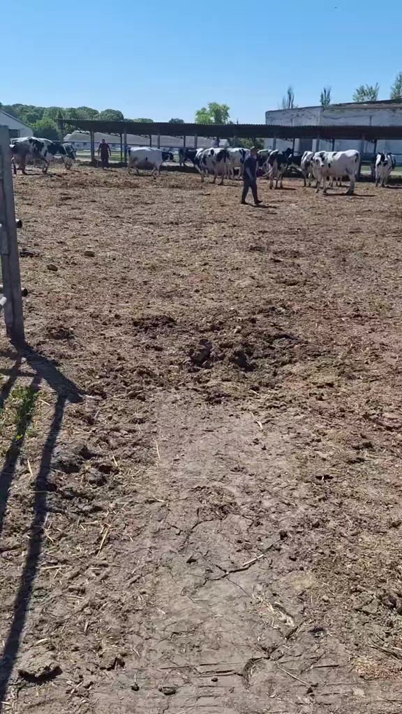 @Ірина