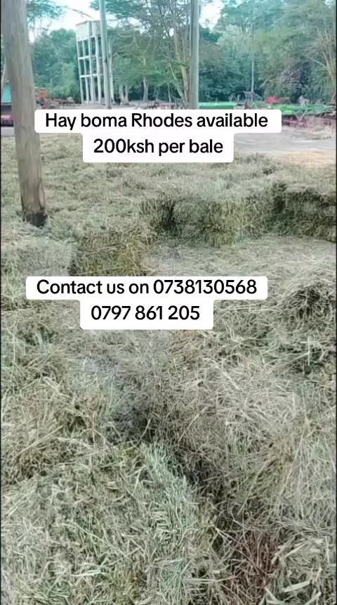 @Joshua Kilonzo