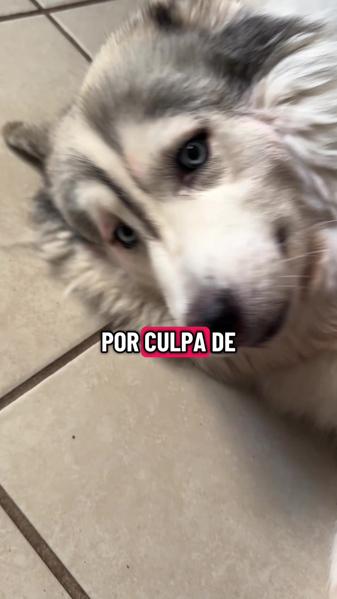 @Nitzia Gradias