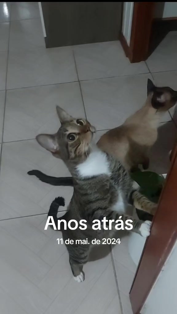 @Luci