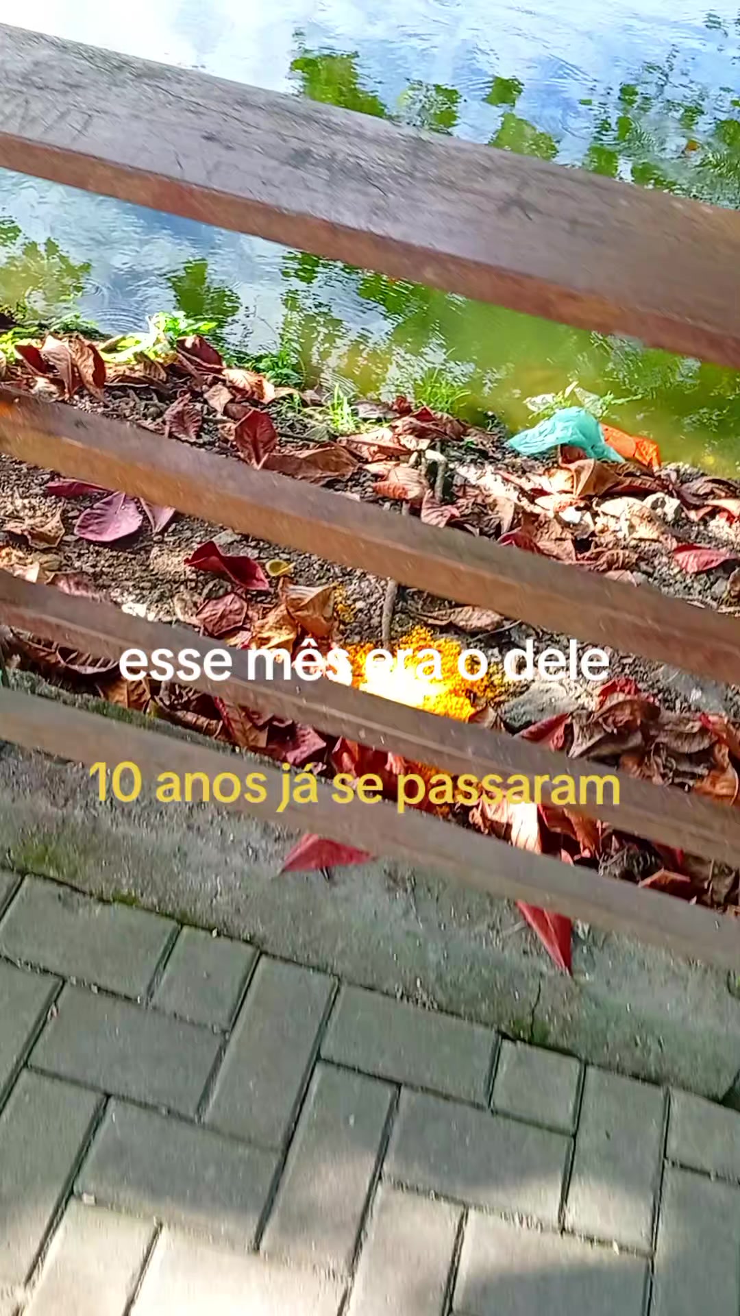 @Paulo Cajueiro