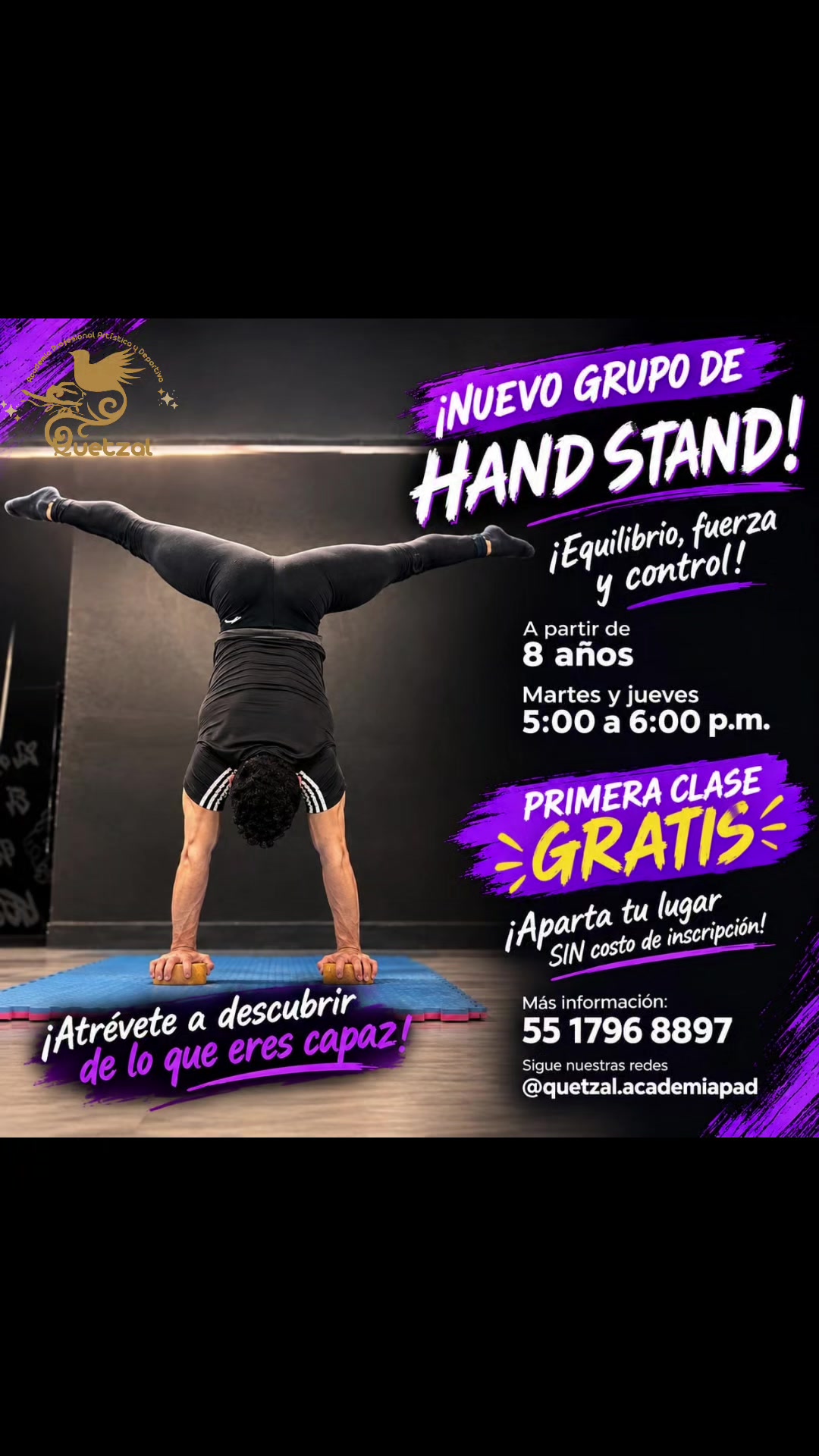@Quetzal - Academia Profesional