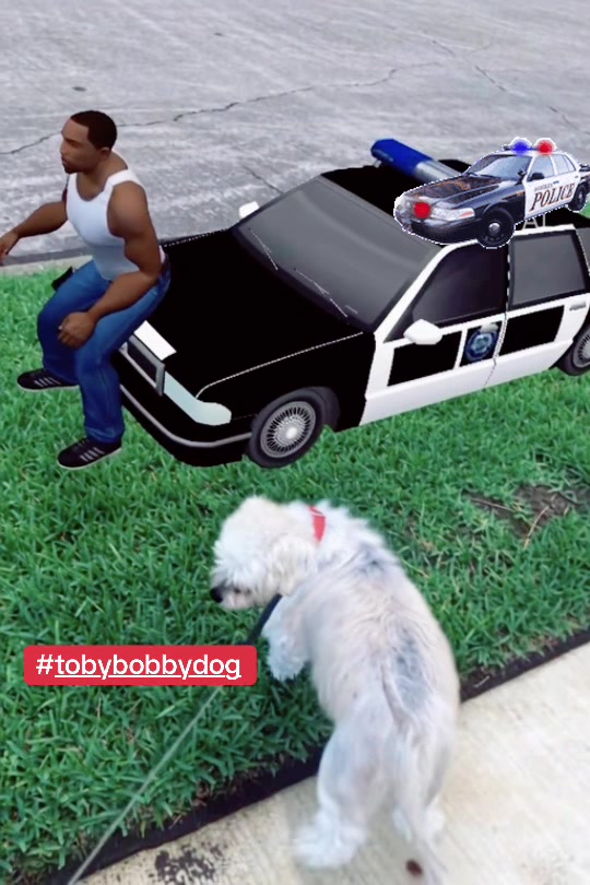 @Tobybobbydog