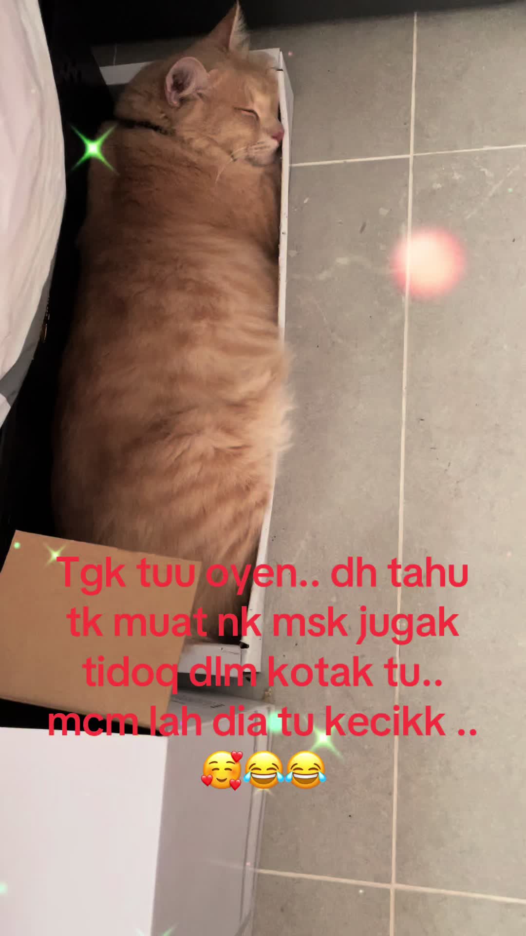 @Sayang Binti Darling