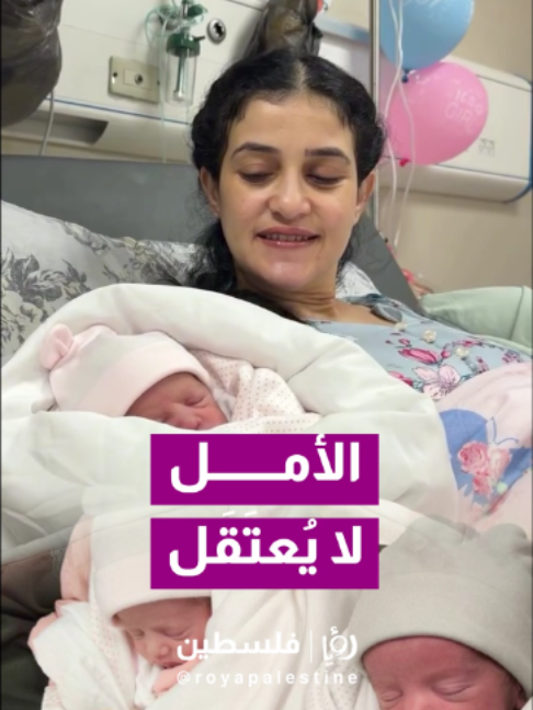 @Royapalestine رؤيا فلسطين