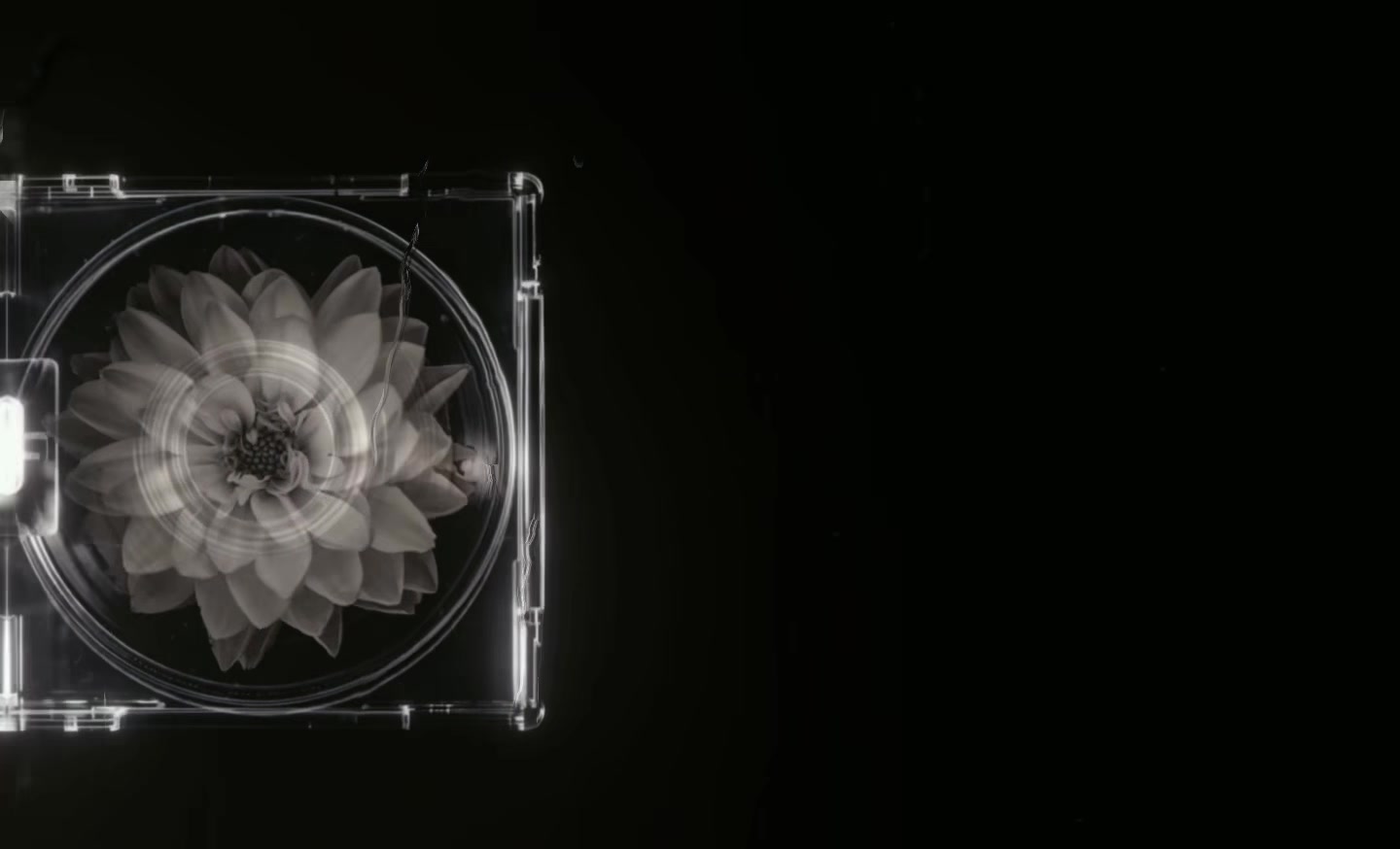@𝐝;