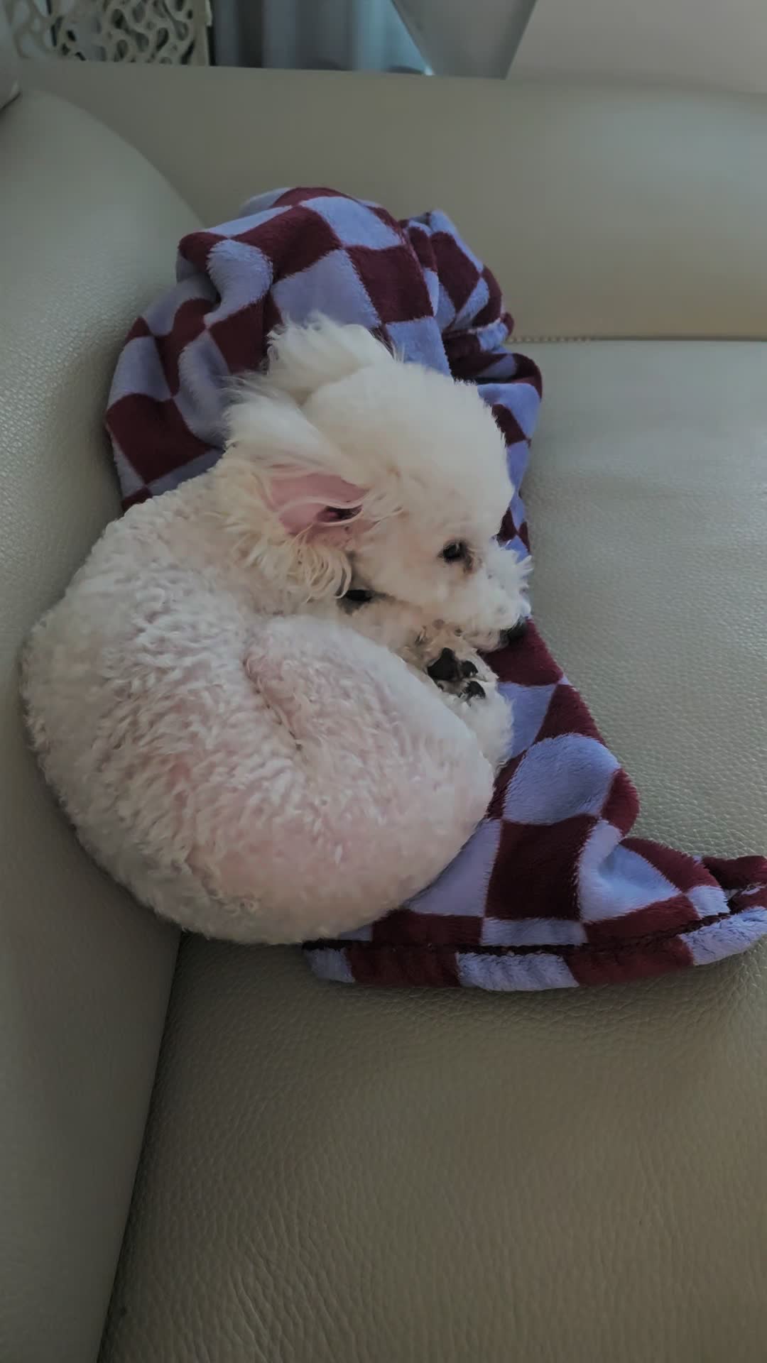 @코우