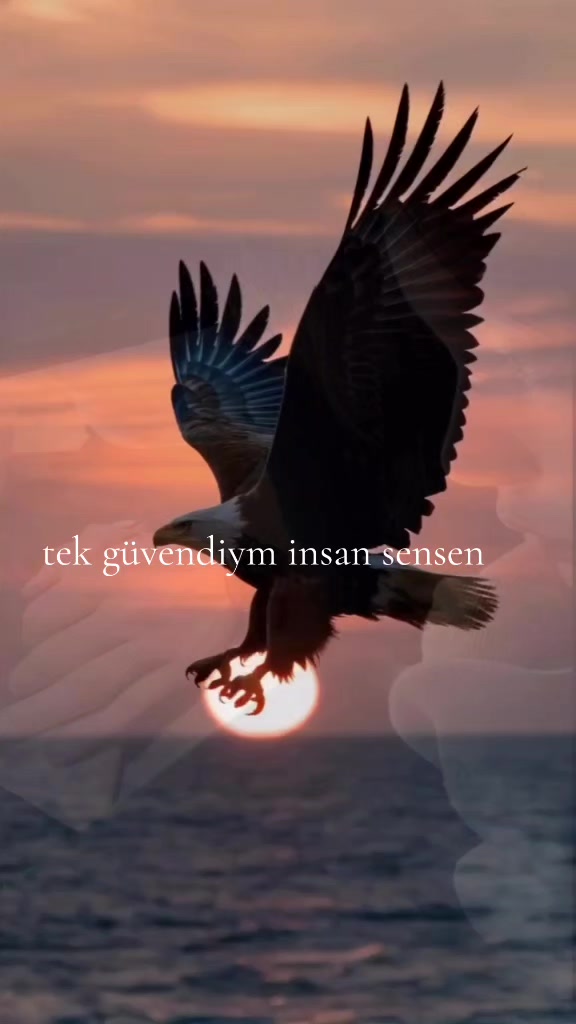 @GüLüM 🌹🌹🌹