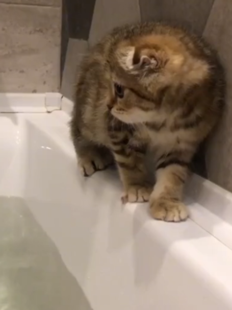 @БУЧ211