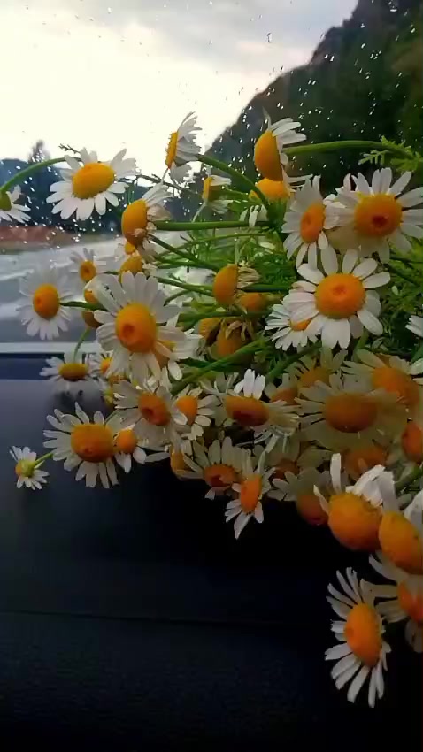 @İlayda 777