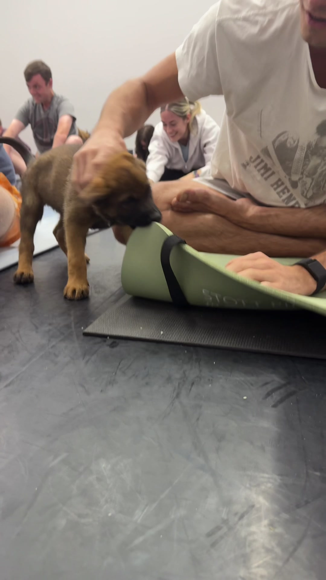 @Muskoka Puppy Yoga