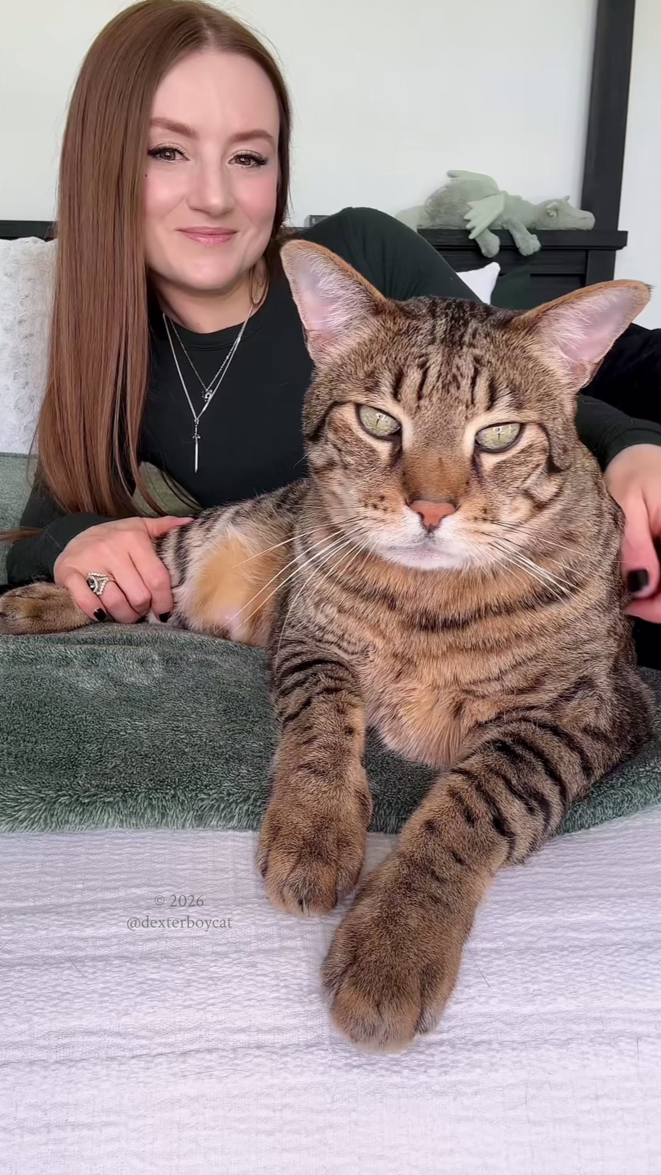 @dexterboycat 🐆&hearts;️