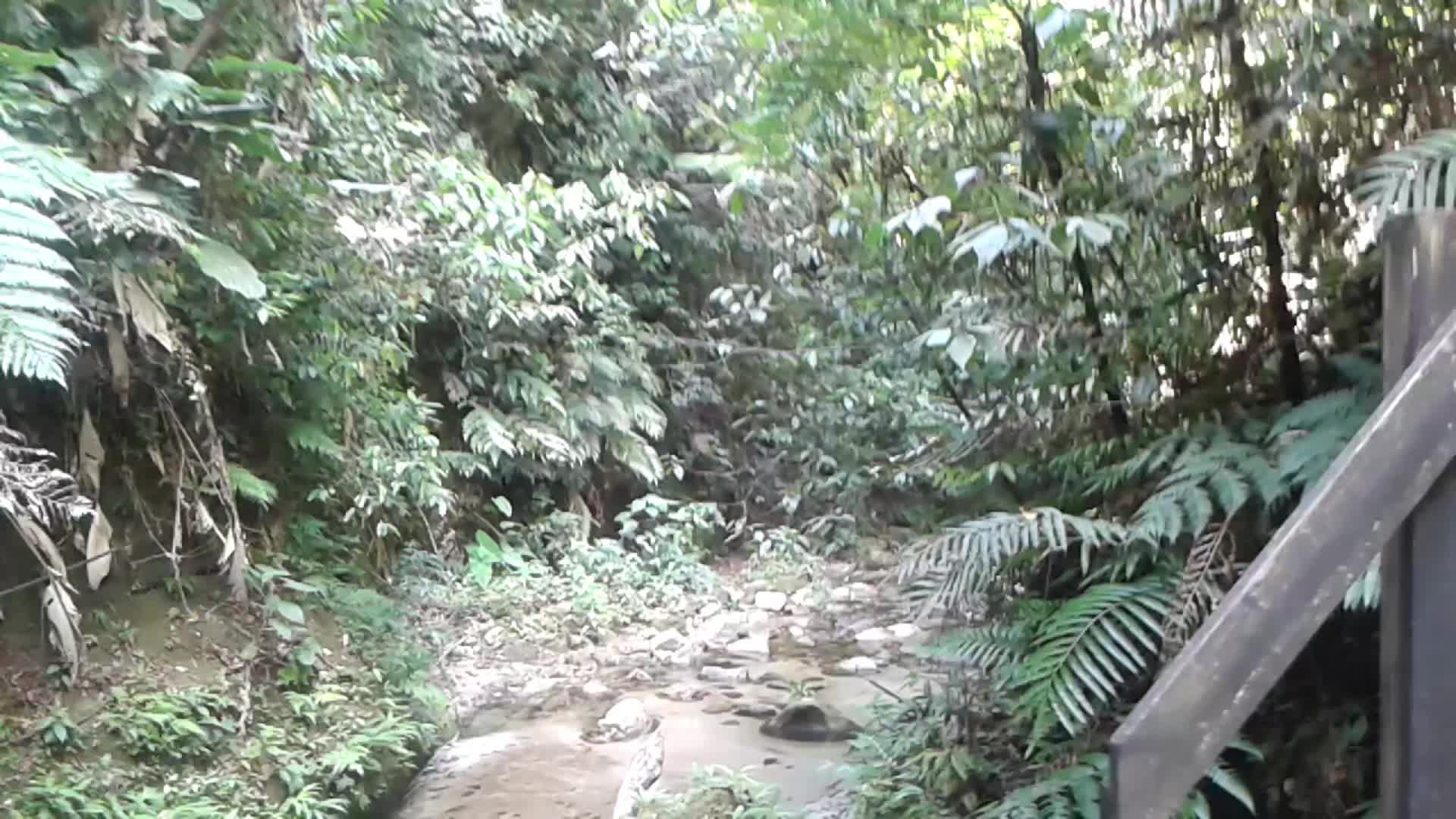 @aventurasjn