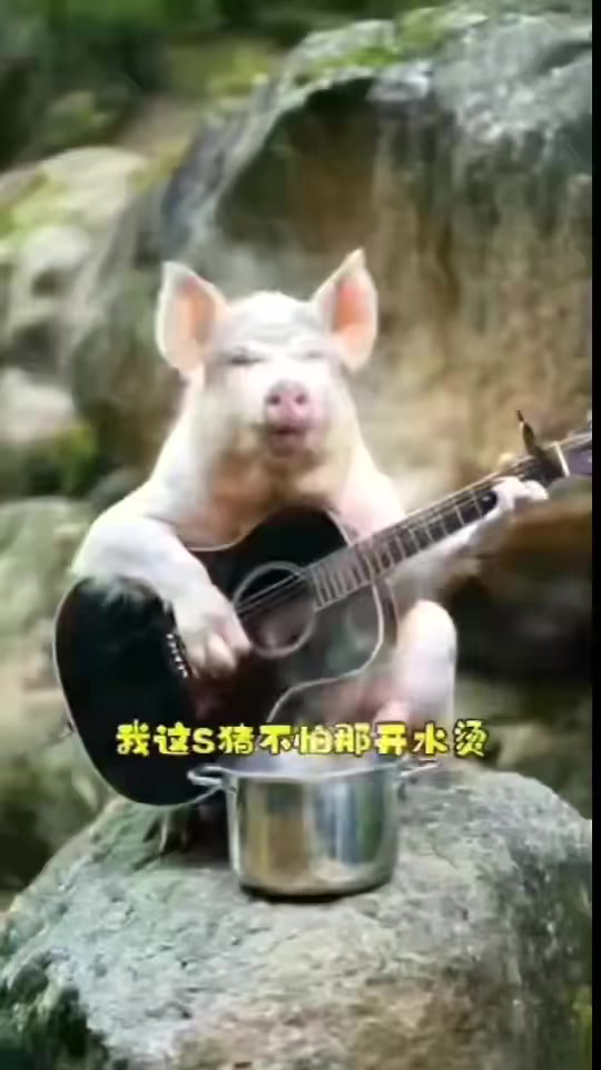 @晃晃悠悠