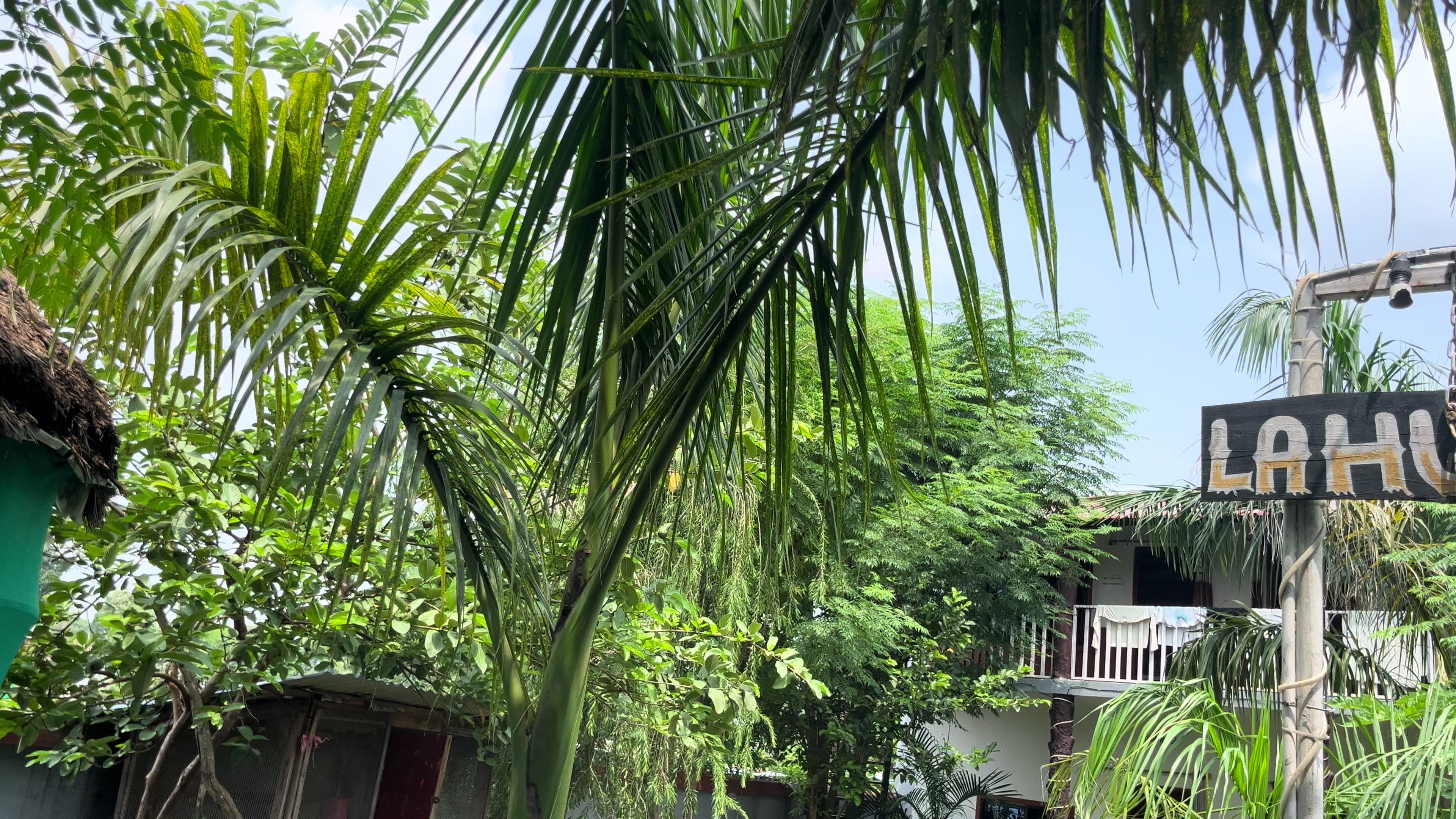 @Bittu ❤️