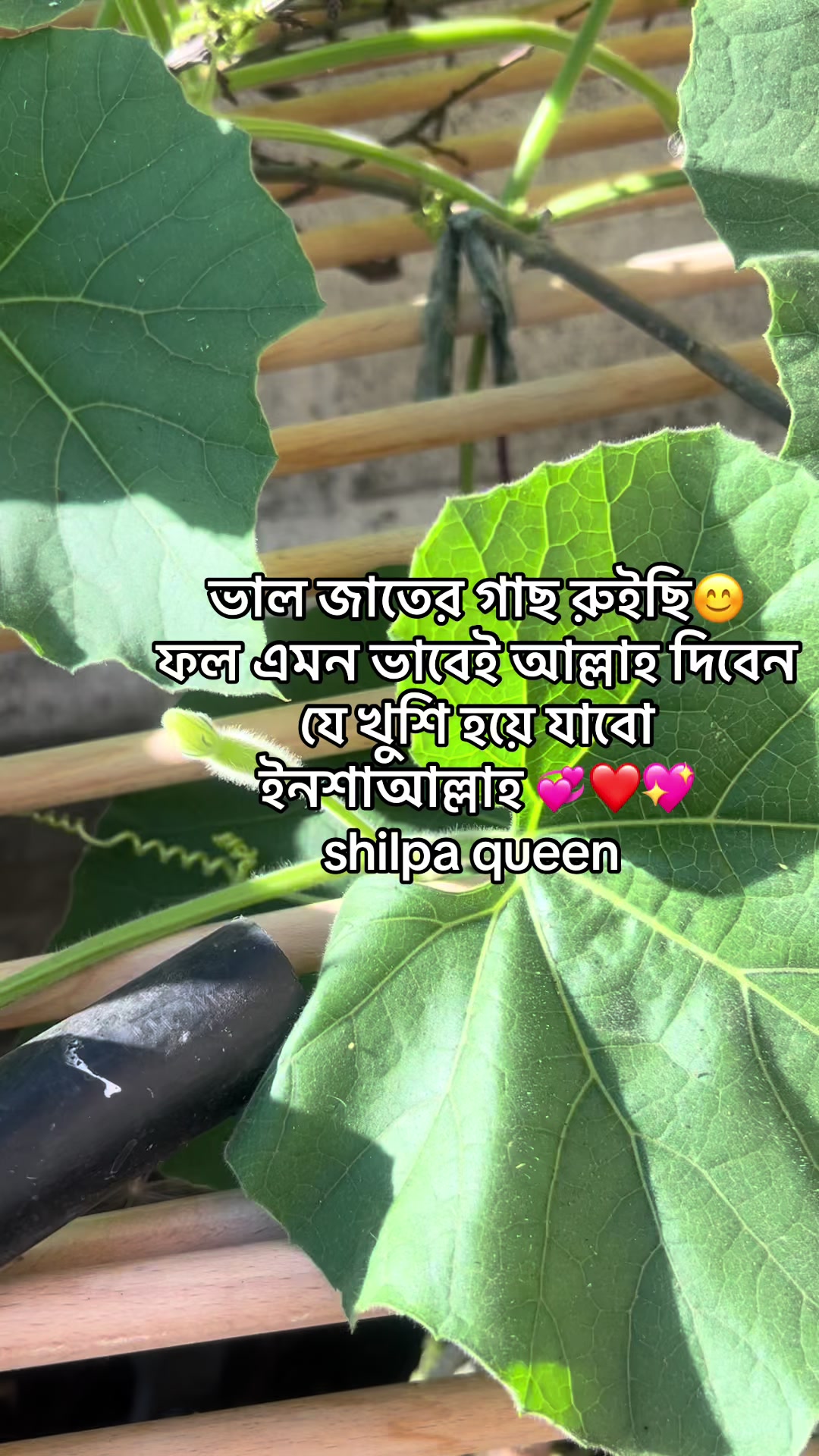 @Shilpa Queen đ¸