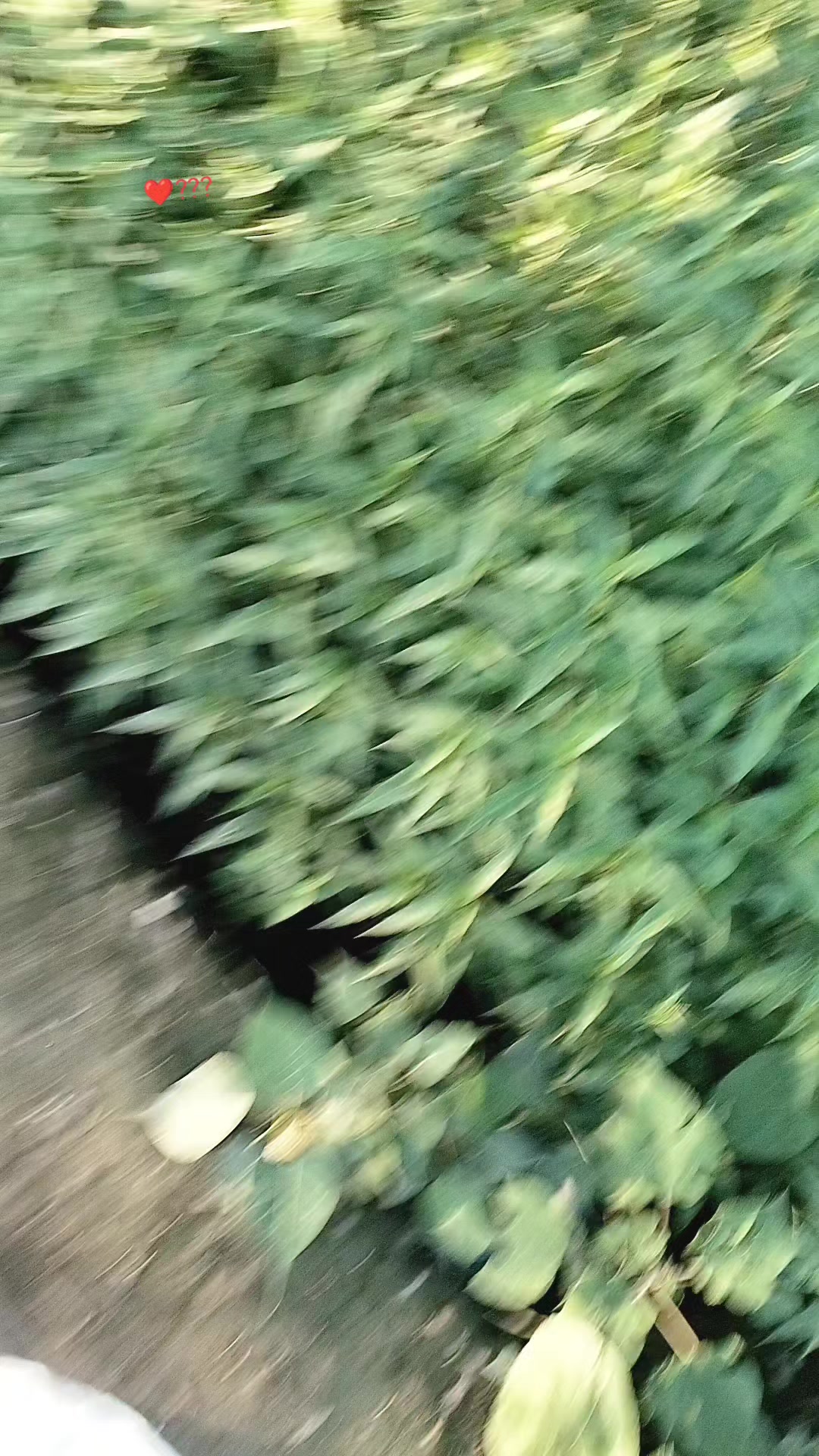 @🖤°•ﮩ٨ـﮩﮩ٨ـẳ𝚋𝔡บﮩ٨ـﮩﮩ٨ـ