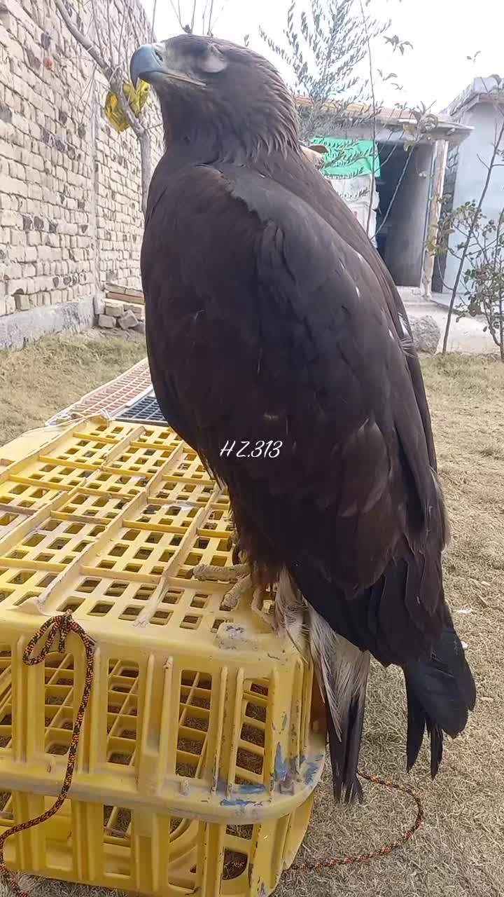 @🦅Hunter Zehri🪶
