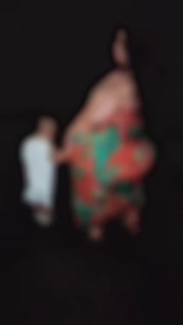 @dayanapassos24