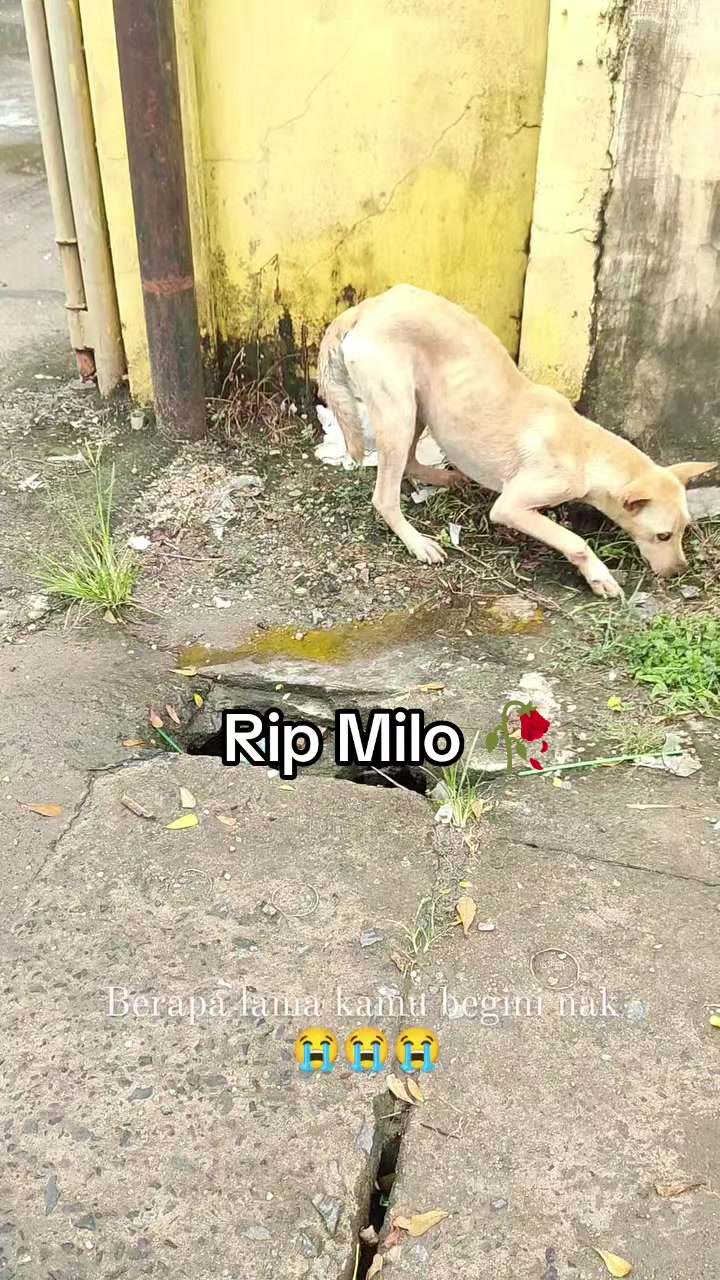 @MynameisMolly