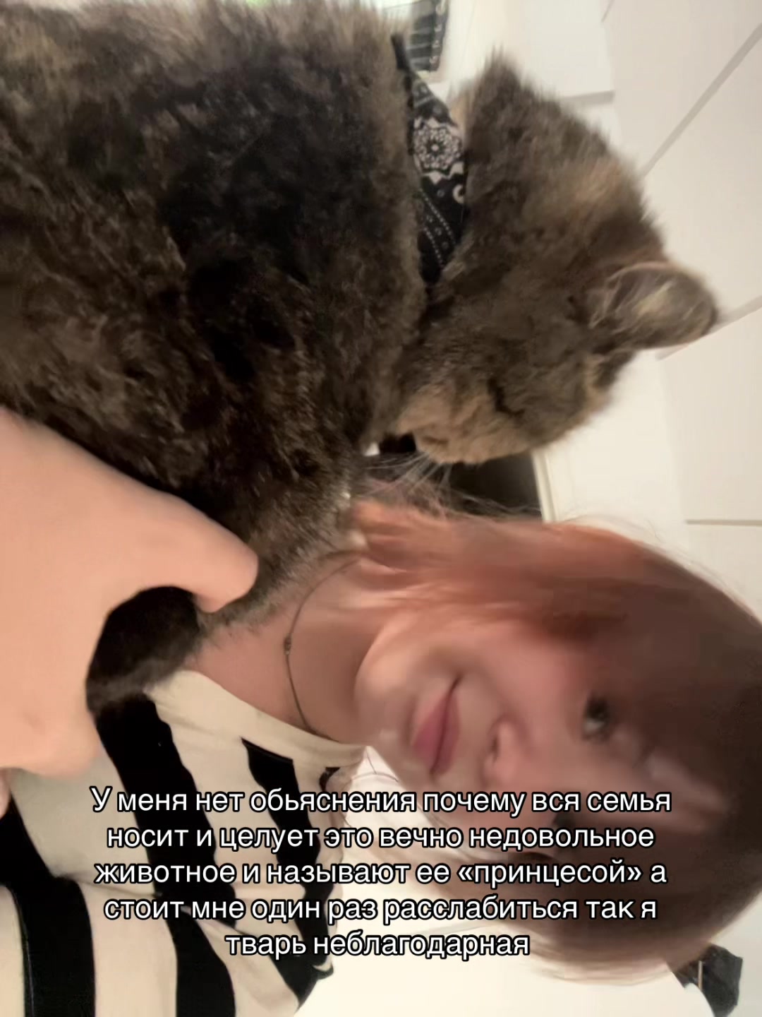 @Фанера🩼
