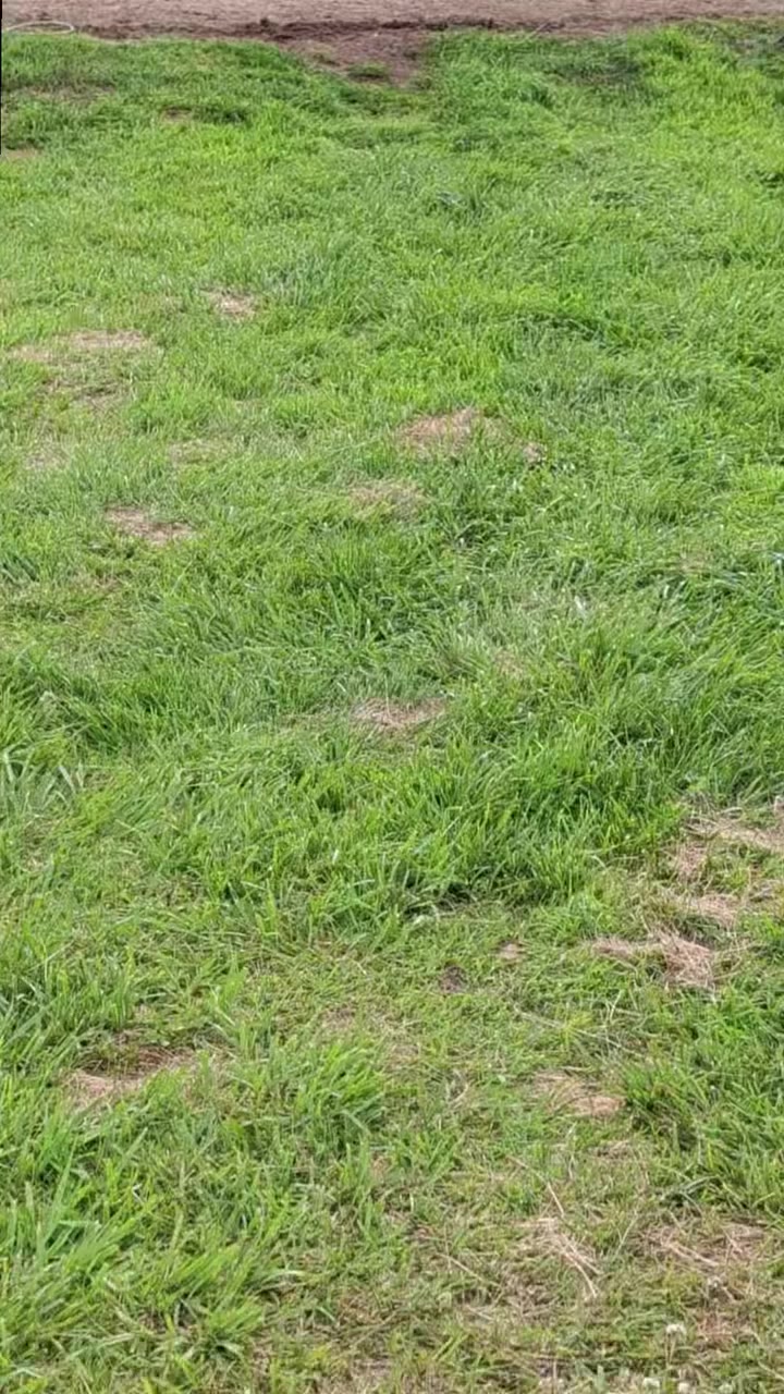 @ममता