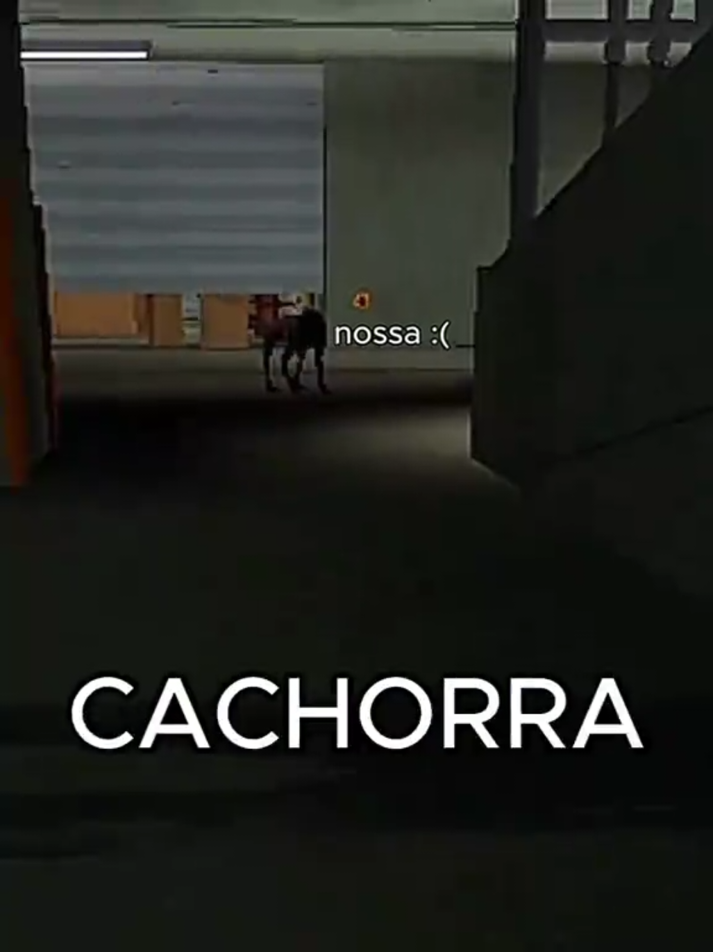 @Mendiga