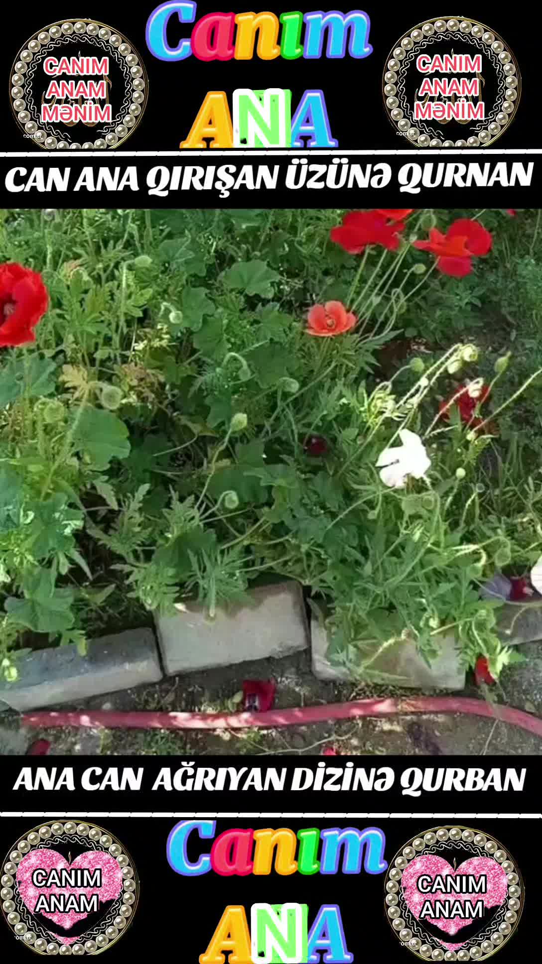 @Müqəddəs baba-1