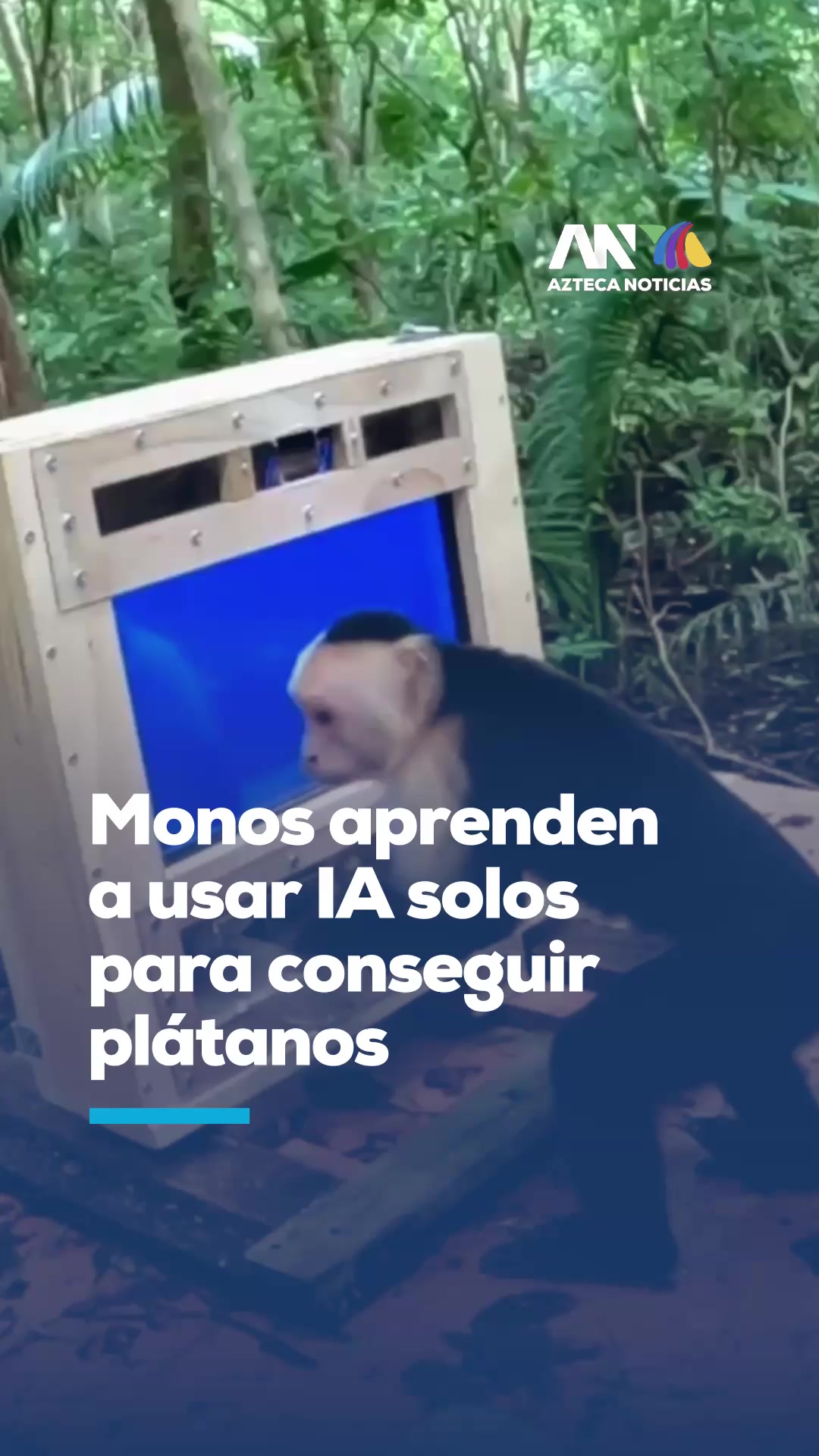 @Azteca Noticias