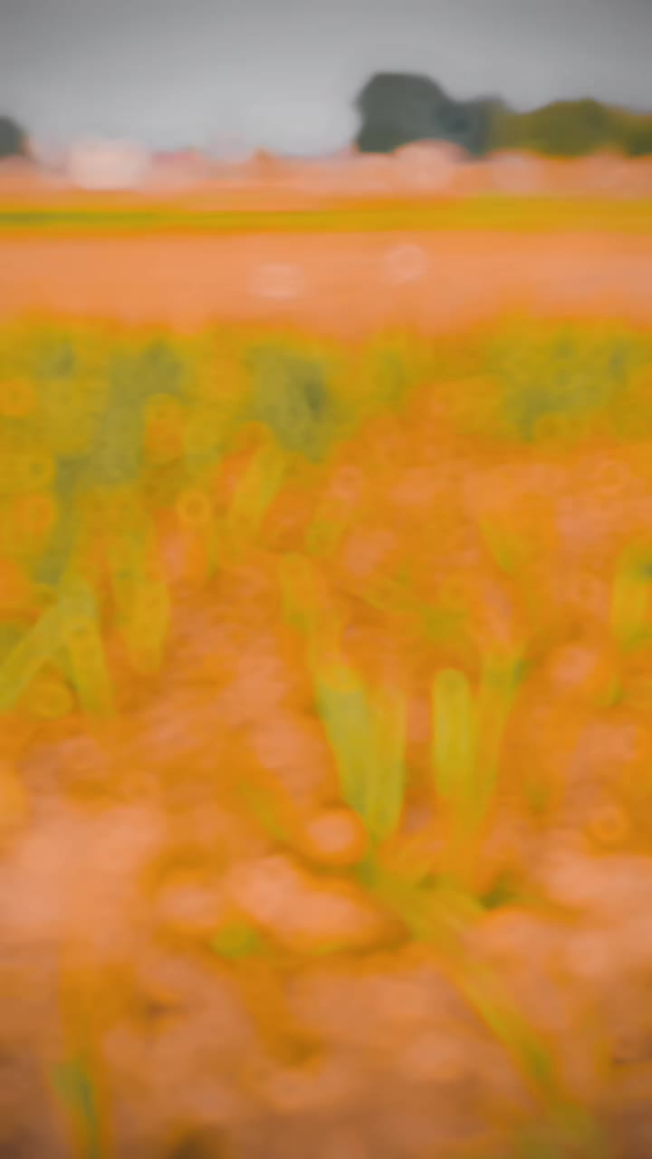 @𝘼𝙃𝙎𝘼𝙉 𝙟𝙪𝙏𝙩