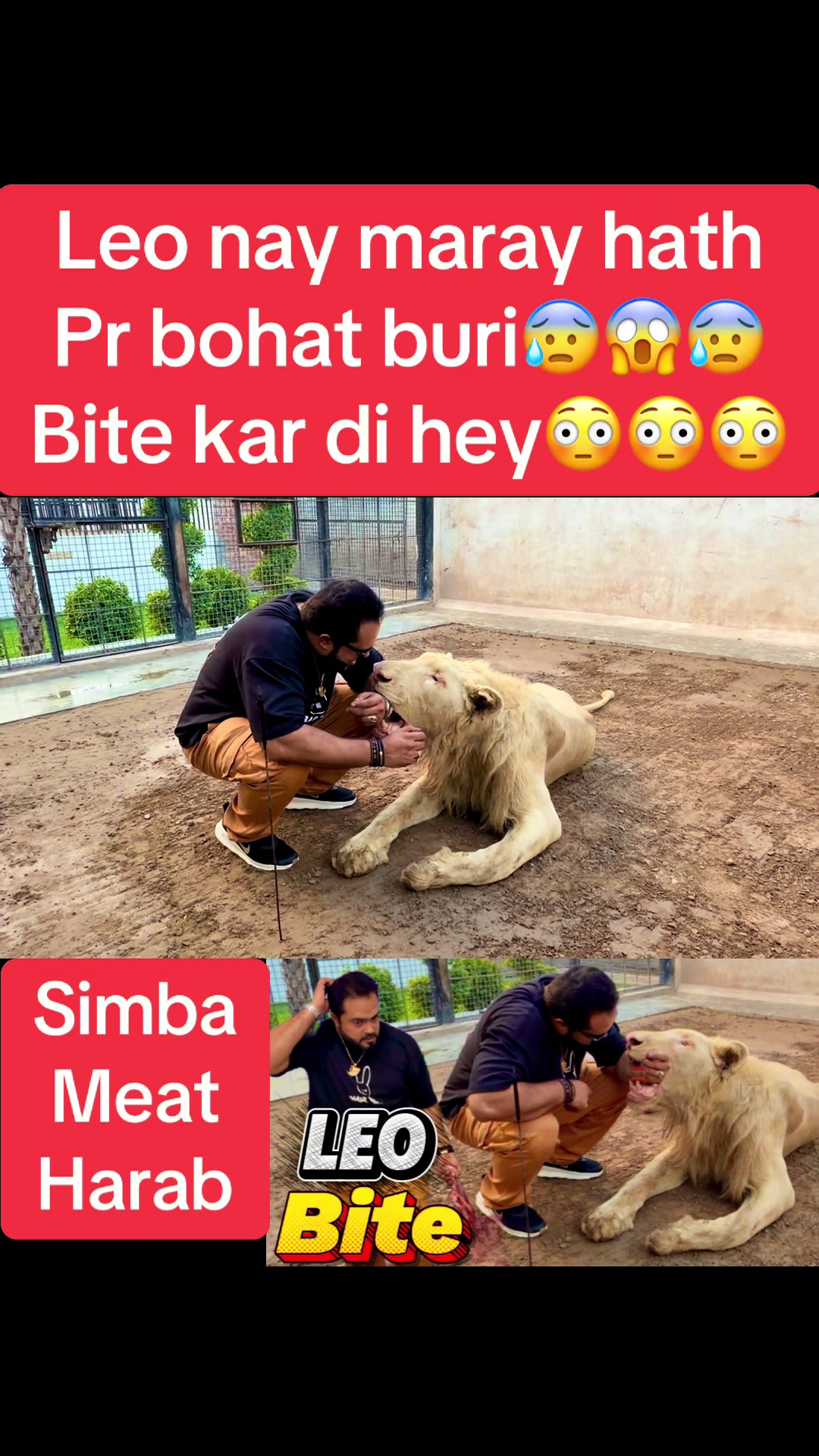 @Mian saqib