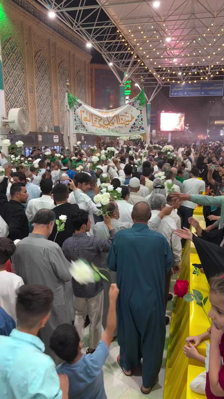 @پاشا شگری 804